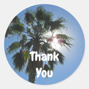 Dank Je Warme Palmboom Tropisch Zonlicht Bedankt Ronde Sticker