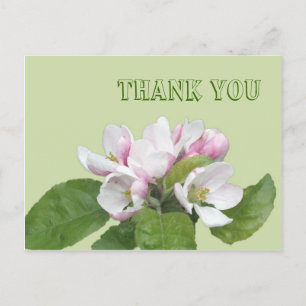 Dank je wel, appelbloemen briefkaart
