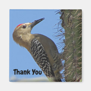 Dank je wel Gila Woodpecker Foto Southwest Bird Magneet