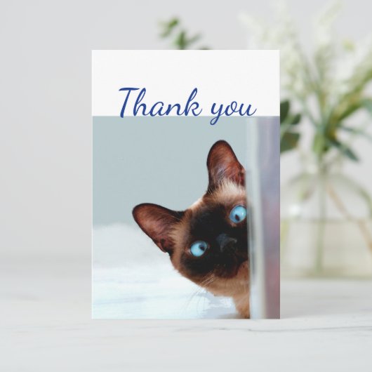 Dank je wel, grappig, kat Kitten Animal Bedankkaart (Staand voorkant)