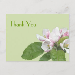 Dank je wel voor feestjes, appelbloemen briefkaart
