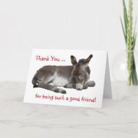 Dank je wel, vriend Donkey