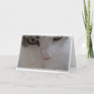 Dank Miauw Bedankkaart