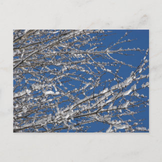 Dank Onze Leden ~ 14 van de Dienst Briefkaart