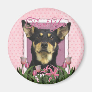 Dank u - Australian Kelpie - Jude Magneet