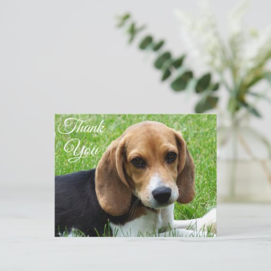 Dank u Beagle Puppy Dog Greeting Post Kaart (Staand voorkant)