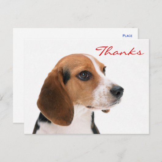 Dank u Beagle Puppy Dog Groeten Briefkaart (Voorkant / Achterkant)