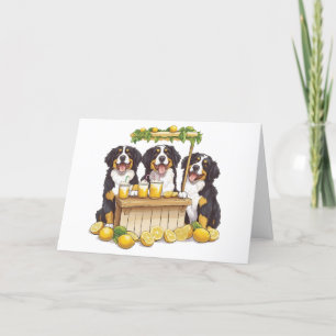 Dank u Berner Sennenhonden limonade stand Bedankkaart