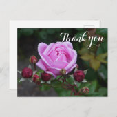 Dank u Bishop's Castle Rose #1 Ansichtkaart Briefkaart (Voorkant / Achterkant)