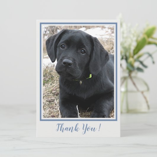 Dank u Black Labrador- Blauw Grijs Schattige Puppy Bedankkaart (Staand voorkant)