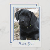 Dank u Black Labrador- Blauw Grijs Schattige Puppy Bedankkaart (Voorkant / Achterkant)