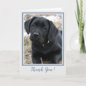 Dank u Black Labrador - Schattige Puppy Dog Bedankkaart (Voorkant)