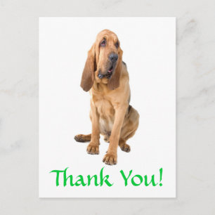 Dank u Bloedhond begroeting Briefkaart