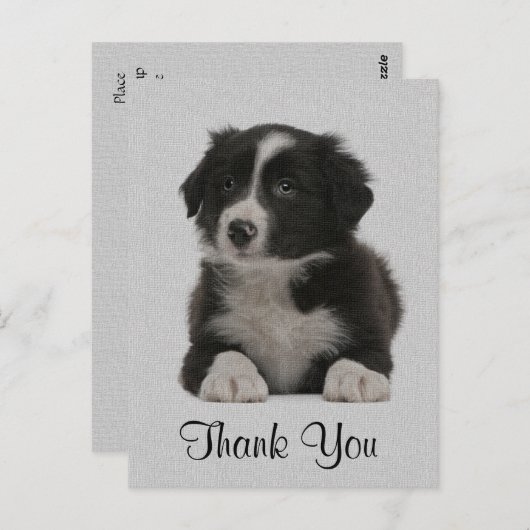 Dank u Border Collie Puppy Dog Post Kaart (Voorkant / Achterkant)