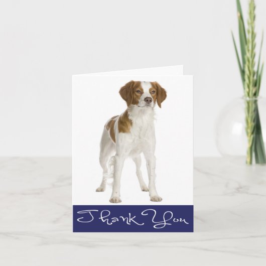 Dank u Brittany Spaniel Puppy Dog Kaart (Voorkant)