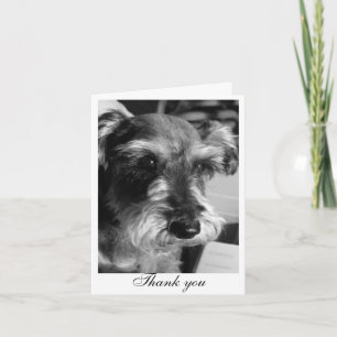 Dank u (Charmin) Bedankkaart