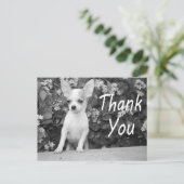 Dank u Chihuahua Puppy Dog Briefkaart (Staand voorkant)