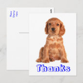 Dank u Cocker Spaniel Puppy Dog Briefkaart (Voorkant / Achterkant)