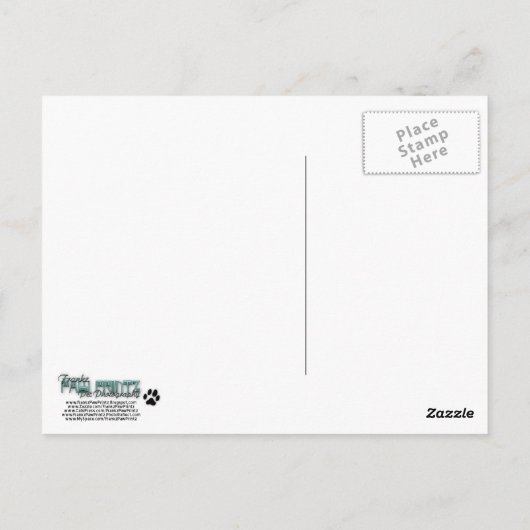 Dank u - Duitse Herder - Kans Briefkaart (Achterkant)