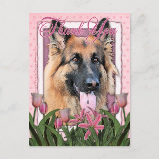 Dank u - Duitse Herder - Kans Briefkaart (Voorkant)