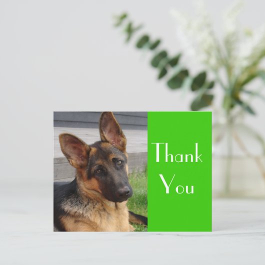 Dank u Duitse Herder Puppy Dog Post Kaart (Staand voorkant)