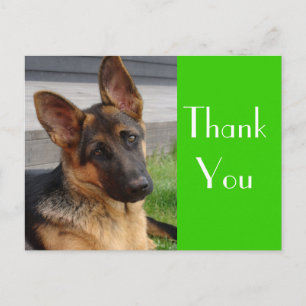 Dank u Duitse Herder Puppy Dog Post Kaart