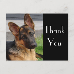 Dank u Duitse Herder Puppy Dog Post Kaart