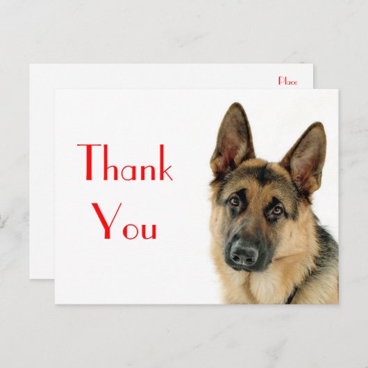 Dank u Duitse Herder Puppy Dog Post Kaart (Voorkant / Achterkant)
