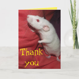 dank u Dumbo Rat kaart