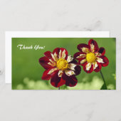 Dank u fotokaart bedankkaart (Voorkant / Achterkant)