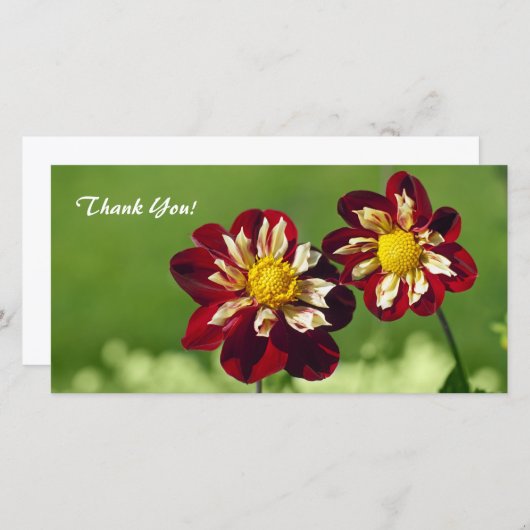 Dank u fotokaart bedankkaart (Voorkant / Achterkant)