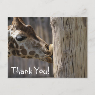 Dank u Giraffe Kisses Briefkaart
