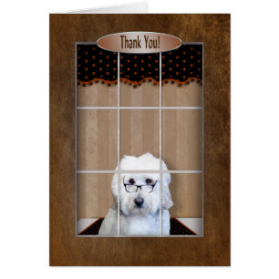Dank u - Golden Doodle - Venster