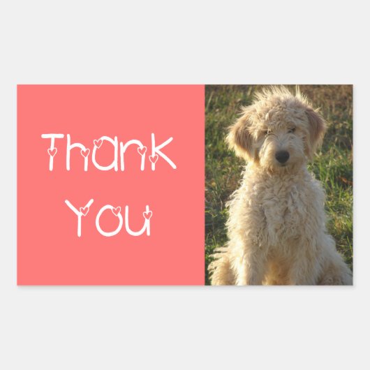 Dank u Goldendoodle Puppy Dog Sticker / Label (Voorkant)