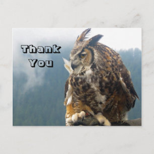 Dank u grote gehoornde uil Briefkaart