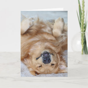 Dank u Hoektanden Bedankkaart