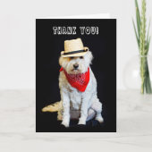 DANK U - HUMOR - PET DOG/COWBOY EN SCARF BEDANKKAART (Voorkant)