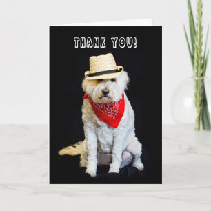 DANK U - HUMOR - PET DOG/COWBOY EN SCARF BEDANKKAART