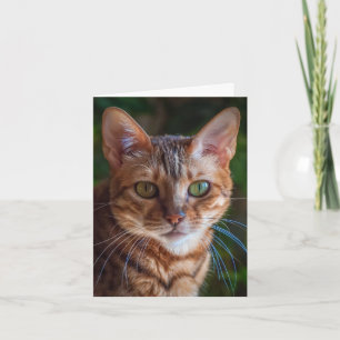 Dank u kaarden bedankkaart