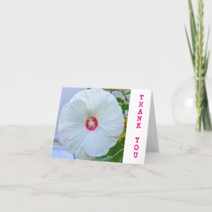 "DANK U" KAART/WITTE HIBISCUS BEDANKKAART