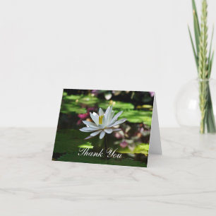Dank u kaarten - Water Lily op vijver