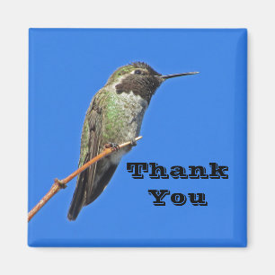 Dank U Kolibrie Foto Natuurwaardering Magneet