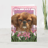 Dank u - koning Charles Cavalier - Ruby Bedankkaart (Voorkant)