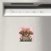Dank u - Koning Charles Cavalier - Ruby Magneet (Insitu (Vaatwasser))