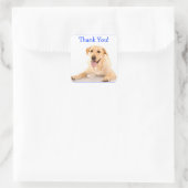 Dank u Labrador Retriever Dog Sticker Labels (Tas)