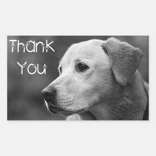 Dank u Labrador Retriever Puppy Dog Sticker (Voorkant)