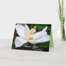 Dank u Magnolia en Honingbijen Kaart