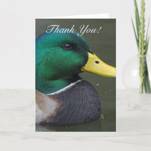 Dank u Mallard Duck Wenskaart Bedankkaart