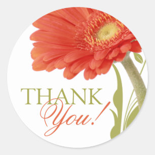 Dank u   Oranje Gerbera Daisy Ronde Sticker