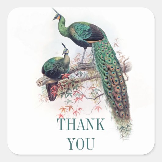Dank u Peacock stickers voor bruiloften (Voorkant)